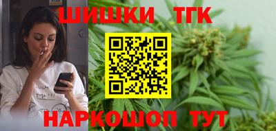 индика Нальчик