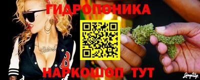 индика Нальчик