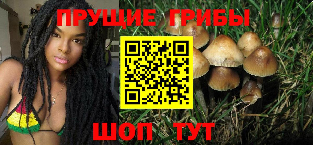 Южно-Сахалинск  Псилоцибиновые грибы Magic Shrooms  Вход с VPN 